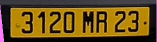 LP